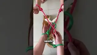 Come Liberarsi da un Legaccio in Pochi Secondi?