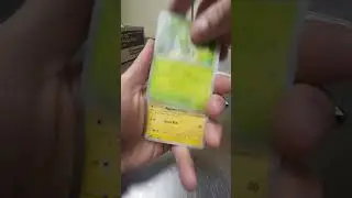 #pokemon