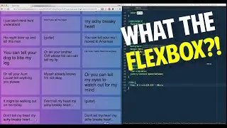 Flexbox Equal height columns and leftover elements! - Tutorial 18 of 20 💪