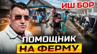 Jobs in Tatarstan. A married couple from Uzbekistan 🇺🇿