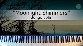 "Moonlight Shimmers" by Bongo John