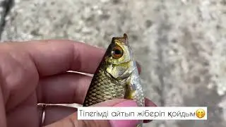 Ауылға саяхат😍2022