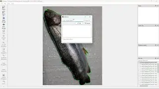 Install Labelme & Anaconda on Windows 11 - Examples to Create Labels in a Images Folder