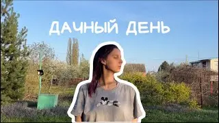 ДЕНЬ НА ДАЧЕ // видео с дачи, чтобы расслабиться, природа, Дон, шашлыки, закат