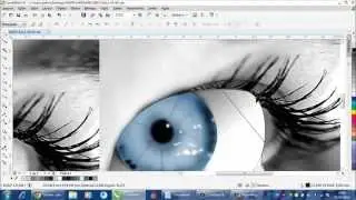 COREL DRAW X7   VIDEO AULA 3