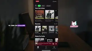 How to turn on your EQUALIZER in SPOTIFY
