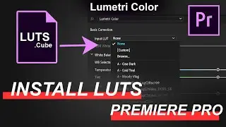 How to install LUTS in Adobe Premiere Pro (Windows version) 4K