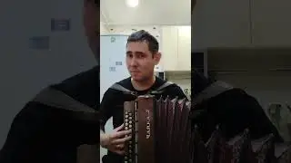 малолетние шалавы кавер под гармонь