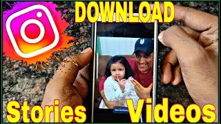 How to Download Instagram Videos, Stories, Photos? | Besy Way | Storysaver