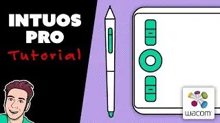 How to Use Wacom INTUOS PRO Small (2019 Model)
