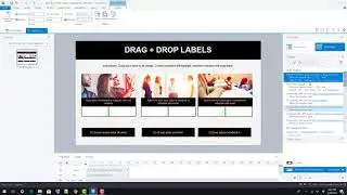 Storyline Styles: Labels Drag and Drop