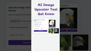 Get the Best Image Upscaling Tool Written in Core PHP | Upscale Images to 2x and 4x