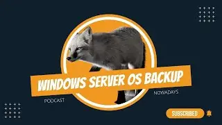 Windows Server OS backup