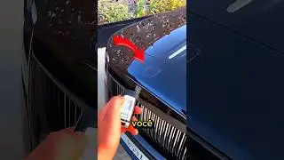 Tome cuidado ao abrir uma porta de um ROLLS-ROYCE #curiosidades #curioso #interessante