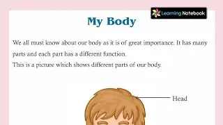 Class 1 My Body