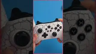 This Switch Controller Has Macro Pads