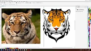 Manually trace of a tiger's head in CorelDRAW