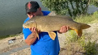 Carp fish 2024 #fishing #fish #carpa #carpfish #carpfishing #nature