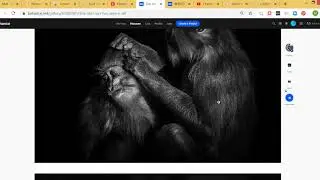 Using Screencast O Matic on your phone to record your screen