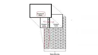 Oracle Database Logical Structure