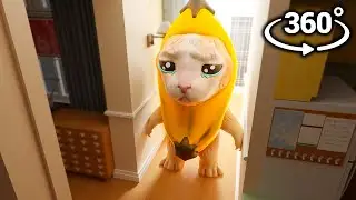 Banana Cat 360° - IN YOUR HOUSE! VR Experience