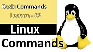 Basic Linux Commands | Linux Commands for DevOps and Cloud Computing | Lecture 02 |