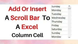 Excel Add Scroll Bar To A Column | Course For Beginners In Excel