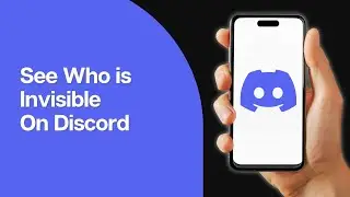 How To Know If Someone Is Invisible On Discord (2024)