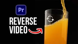 How To Reverse A Video In Premiere Pro