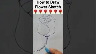 How to Draw Flower sketch Drawing| How to make Flower Sketch Drawing Step by step