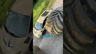 He Had to Swerve Around a Lamborghini1
