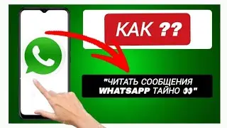 Как скрыть синие галочки в WhatsApp – Отключить отчёты о прочтении