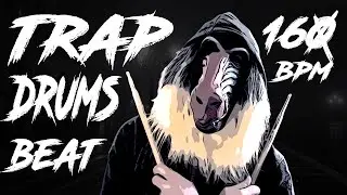 TRAP Drum Loop ◻️ 160 BPM ◻️ Hip Hop Drums