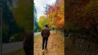 Pov: Peace in Melbourne | Australia 🇦🇺 