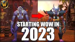 New Player Reviews First 6 Months Playing WoW