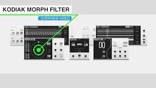 Native Instruments Kodiak Blocks - Morph Filter Overview