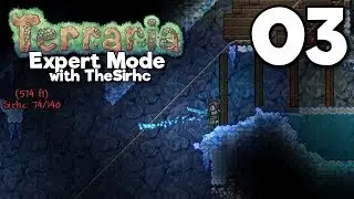 Ice Ice Blade-y! ▫ TERRARIA Expert Mode w/theSirhc (Ep.03)