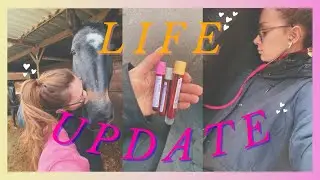 Let's chat! Internship, slaughterhouse changes, updates🌞 // Veterinary medicine vlog