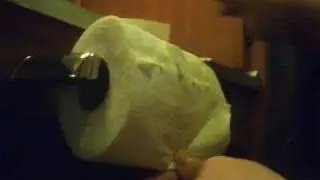 Toilet paper
