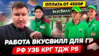 Надежный работодатель для граждан РФ, Узбекистана, Кыргызстана, Казахстана во ВкусВилл