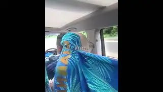 Geniale Reise Idee Jeder hat seinen eigenen Bereich im Auto