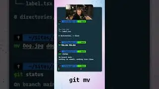 🔥 Use git mv to git yourself out of case-sensitive filename pickles.