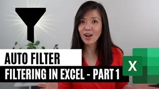 Filtering Options in Excel: Auto Filter | Part 1 of 4