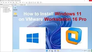 How to Install Windows 11 on VMware Workstation 16 Pro Step by Step [2022]