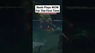 Mistakes Of a First Time WOW Player 