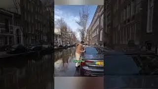 Pourquoi Les Voitures De Luxe S'enfoncent Constamment Sous L'eau