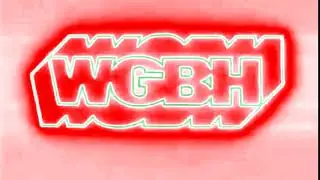 (2nd COLLAB ENTRY FOR MYSELF/P29) WGBH Boston Logo With Pusab Flanged Saw
