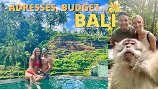BALI VLOG | Une semaine de rêve (Adresses, bons plans, budget...) 🌴🐒