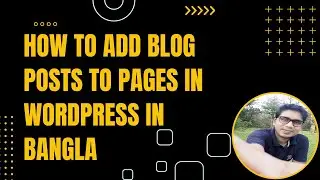 How to Add Blog Posts to Pages in WordPress in Bangla