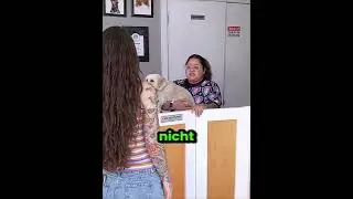 Diese Besitzerin wollte so eine Frisur für ihren Hund gar nicht! 😮